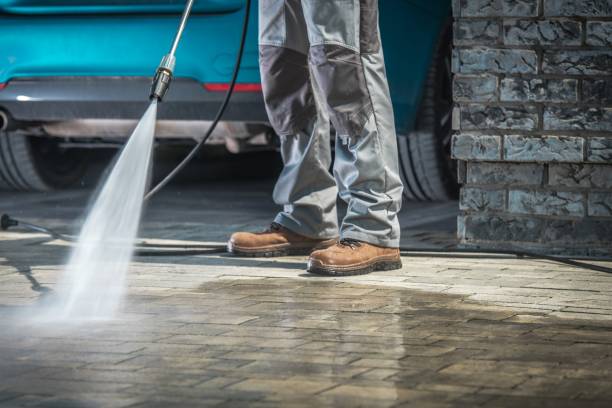 Best Animal Enclosure Cleaning  in Denison, IA